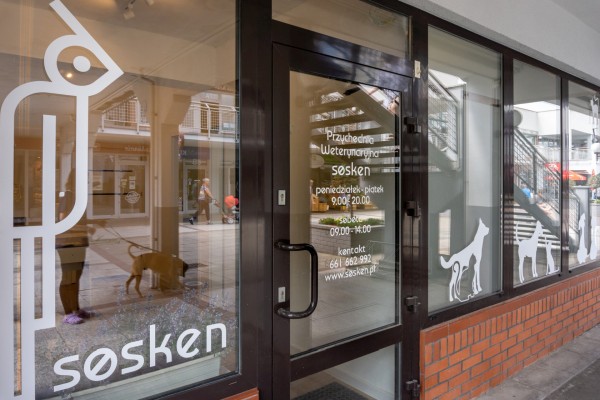 Wejście do Gabinetu weterynaryjnego w Gdańsku